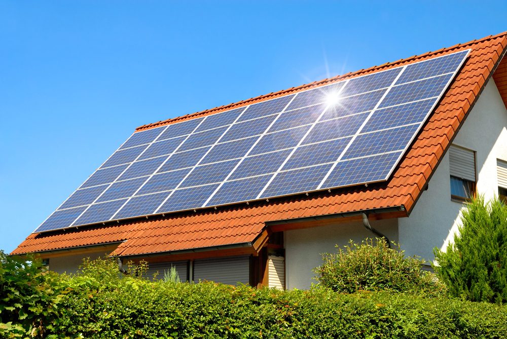 Roof maintenance and cleaning service
