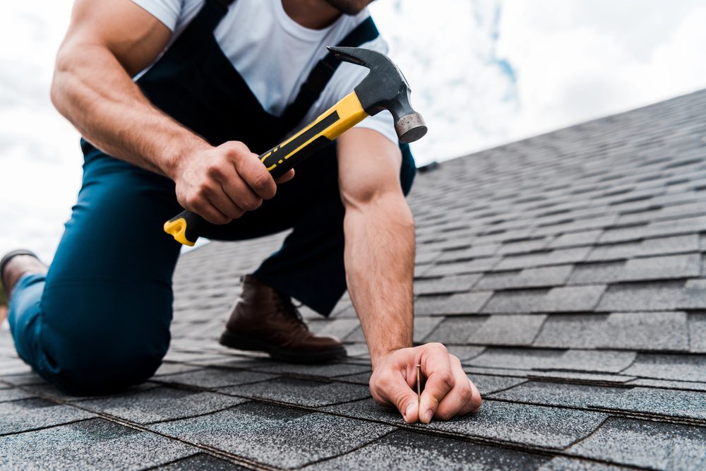 Professional roofer with toolbox on shingle roof